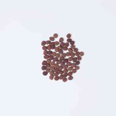 Сухой корм для кошек Carnilove True Fresh Cat Fish 4.8 кг (8595602561438) Винница