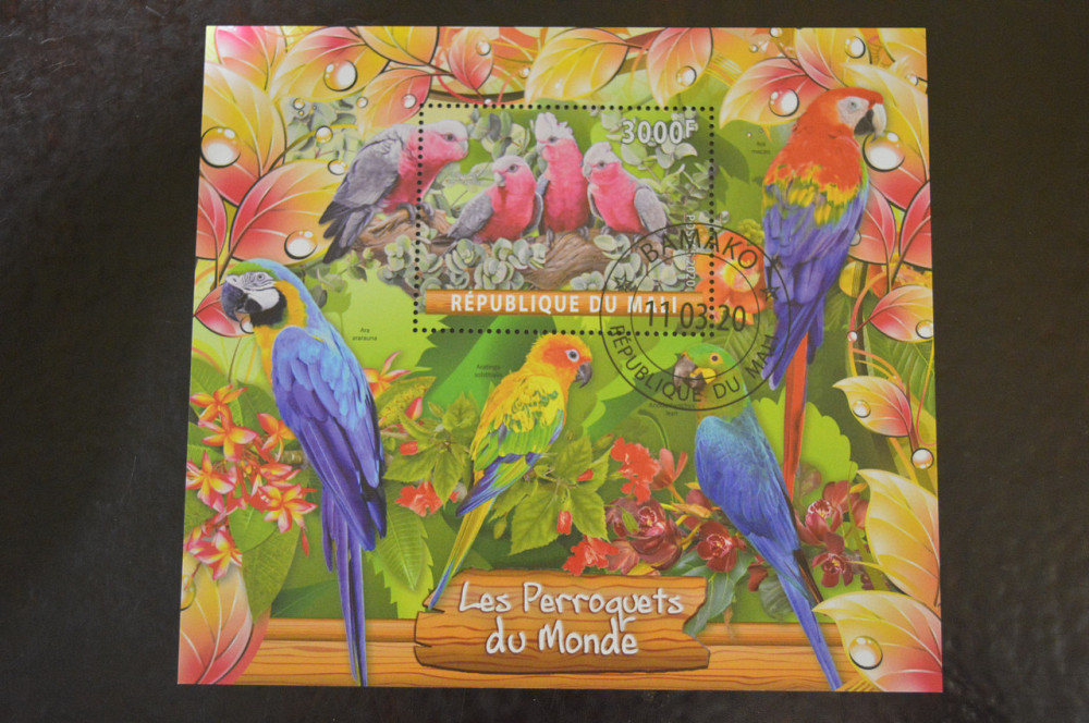 Мали. Марки. Фауна. Блок. 2020 год (В-4) Полтава - изображение 1