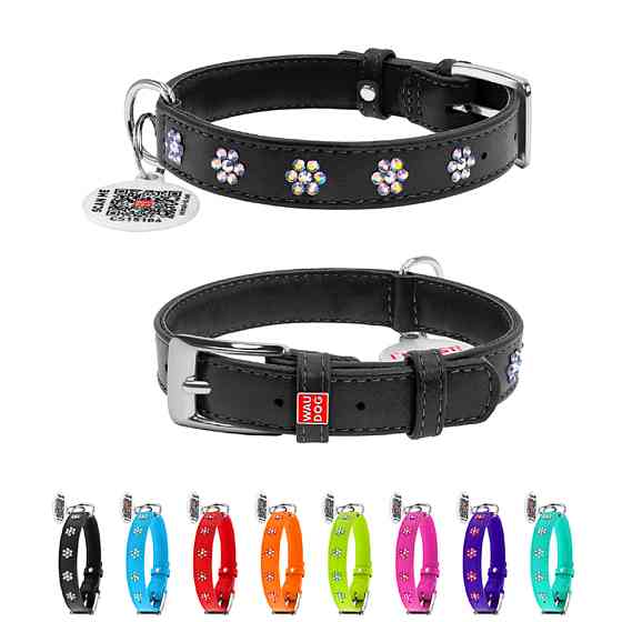 Нашийник для собак шкіряний WAUDOG Glamour з QR паспортом, з клейовими стразами "Квіти", Ш 20 м Коломия