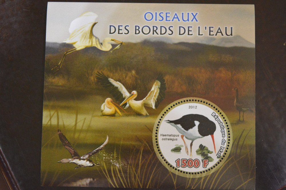 Мали. Марки. Фауна. Блок. 2015 год (В-3) Полтава - изображение 1