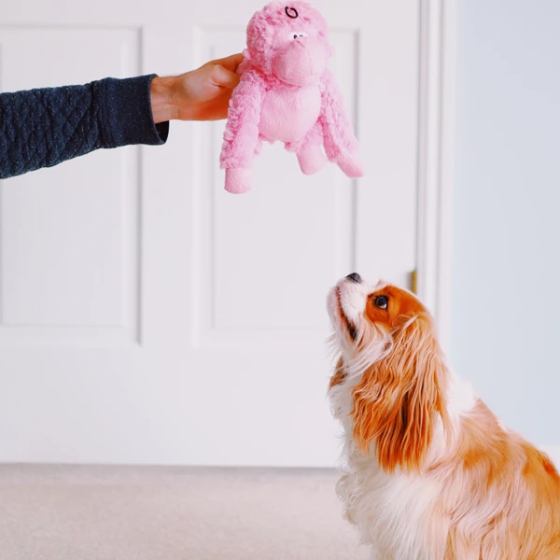 Іграшка для собак Patchwork Pet Gorilla (Печворк Пет Горілла) 220 Запоріжжя