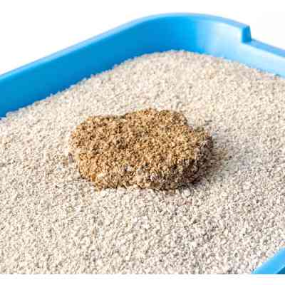 Наполнитель для туалета Тигра бентонитовый 5 кг (мелкая гранула 0.4-1.5 мм) (5200) Винница