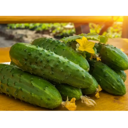 Огурец Феникс-плюс 1гр Вкусный Житомир - изображение 3