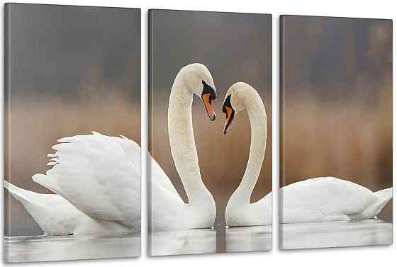 Модульна картина Природа Лебеді Аrt-127_3А Київ