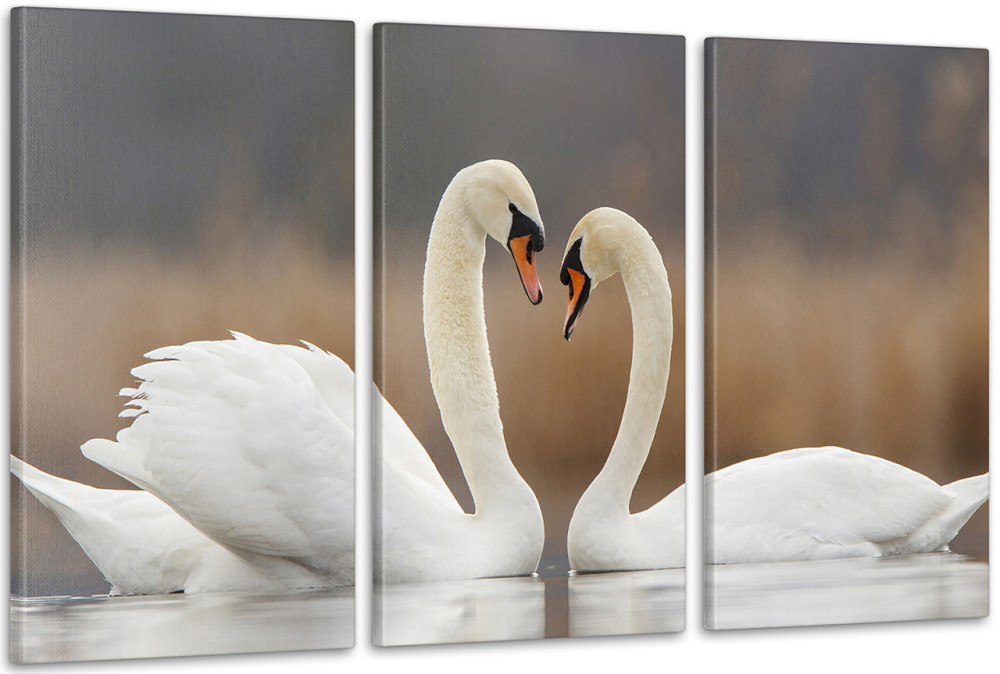 Модульна картина Природа Лебеді Аrt-127_3А Київ - фото 1