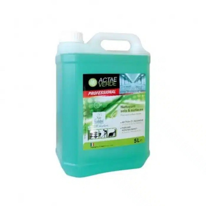 Засіб для миття підлоги та поверхонь Jerrycan Actae 5 л Вінниця - фото 1