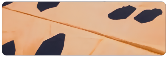 Надувной костюм Тиранозавра RESTEQ Хэллоуин Аниме Косплей, костюм динозавра T-Rex, тиранозавр (коричневый) Киев