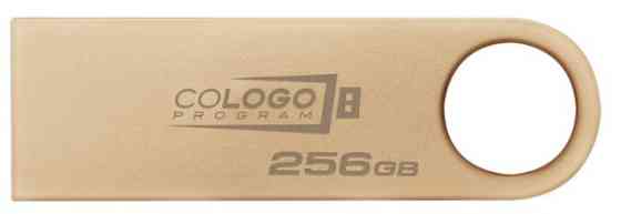 Flash Drive Kingston DT SE9 G3 256GB USB 3.2 Gold (DTSE9G3/256GB) (6962753) Киев