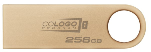 Flash Drive Kingston DT SE9 G3 256GB USB 3.2 Gold (DTSE9G3/256GB) (6962753) Киев - изображение 2