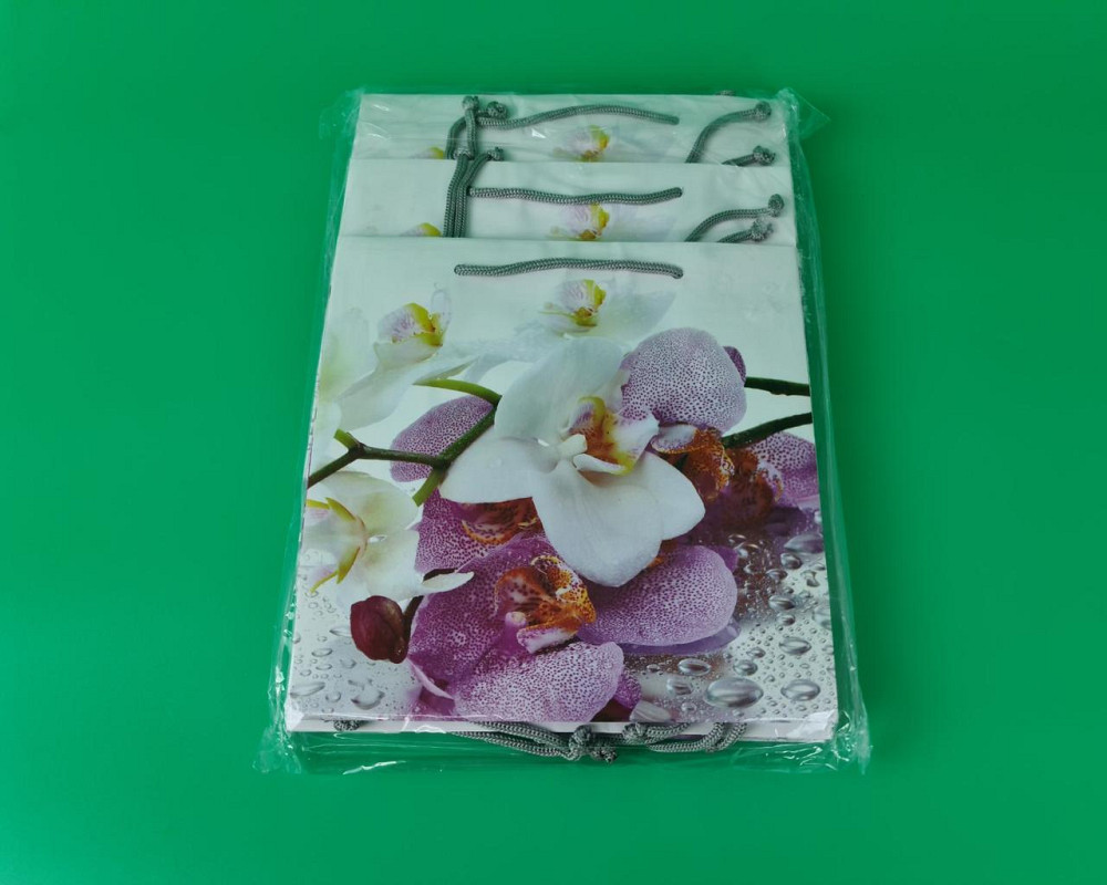 Пакет паперовий подарунковий квадратний 23*24*10 (артKV-034) (12 шт.) Харків - фото 4