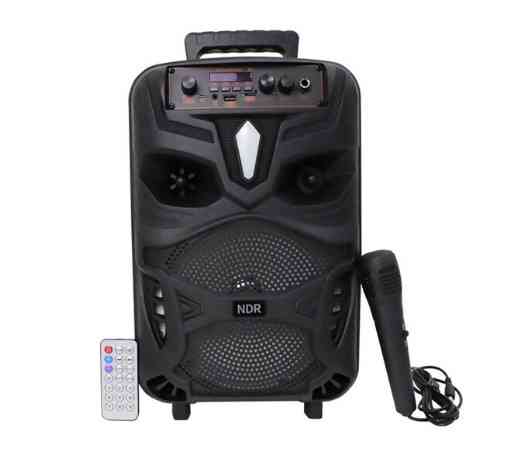 Бездротова Bluetooth колонка NDR-P55 з мікрофоном 8 дюймів Вінниця