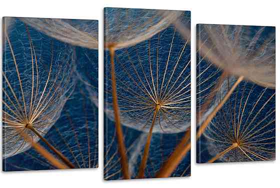 Модульная картина в гостиную / спальню Кульбаби Art-635_3 Киев