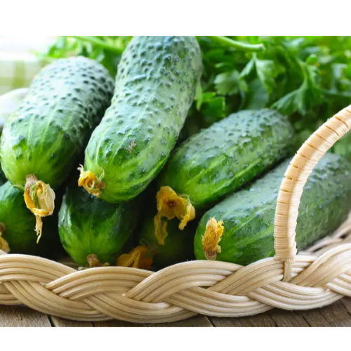 Огурец Монастирский 1гр Вкусный Житомир - изображение 5