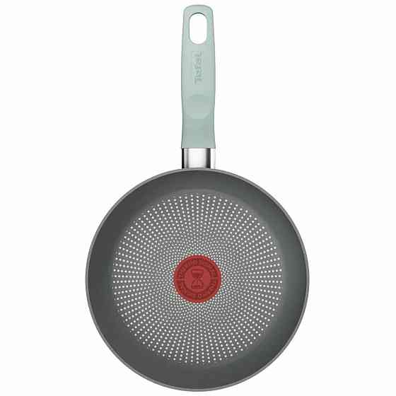 Сковорода Tefal Halo Eucalyptus 20 см (G0160202) ( 24769 ) Харьков