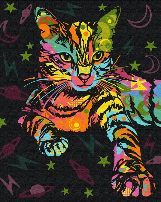 Космічний кіт Київ - фото 1