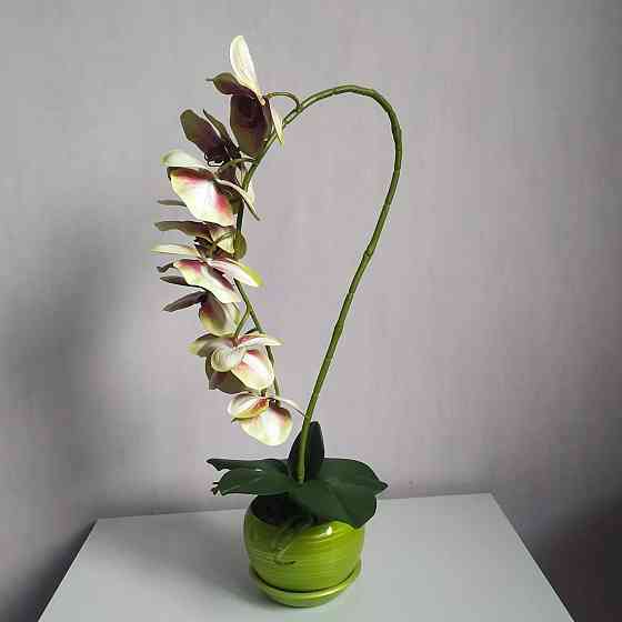 Штучна латексна орхідея VIP в салатовому керамічному кашпо на одну гілку салатово-рожева Дніпро