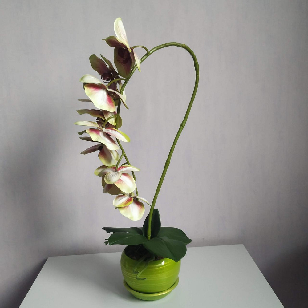 Штучна латексна орхідея VIP в салатовому керамічному кашпо на одну гілку салатово-рожева Дніпро - фото 4