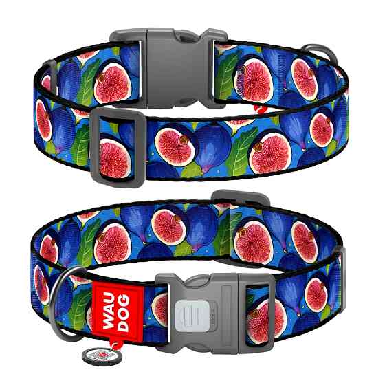 Нашийник для собак нейлоновий WAUDOG Nylon з QR паспортом, малюнок "Інжир", пластиковий фастекс Коломыя