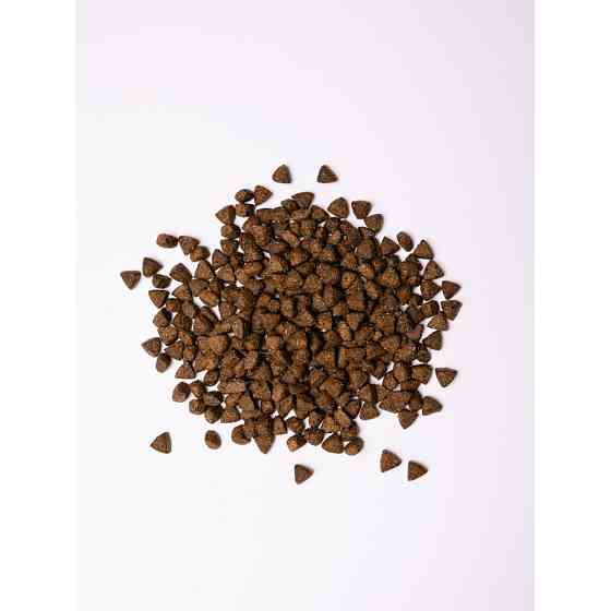 Сухой корм Savory All Breed для стерилизованных собак всех пород, со свежей индейкой, 1 кг Винница