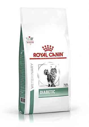 Royal Canin Diabetic (Роял Канін Діабетик Фелін) сухий корм для котів у разі цукрового діабету Запоріжжя