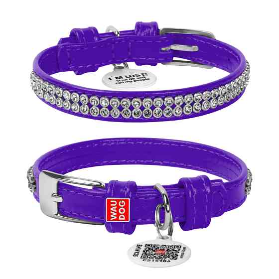 Нашийник для собак шкіряний WAUDOG Glamour з QR паспортом, з прикрасою "Полотно стрази", XXS, Ш Коломыя