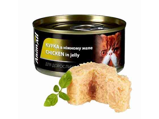 Корм для котів Консерва 85г Вологий курка в ніжному желе ТМ ANIMALL Київ