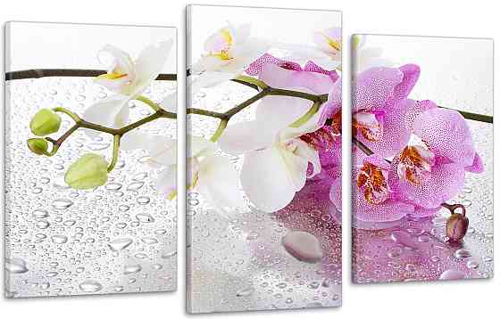 Модульна картина Квіти Орхідеї Art-15_3 Київ