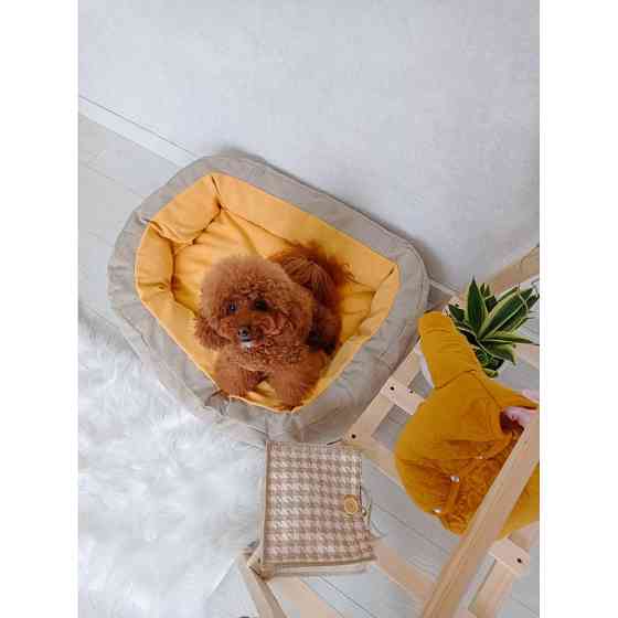 Лежак для собак і кішок Incor Donut жовтий L (80см) Київ