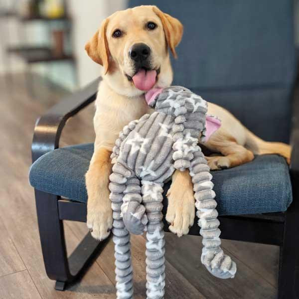 Іграшка для собак Patchwork Pet Ellie Elephant (Печворк ПтСлон Еллі) Запоріжжя - фото 3