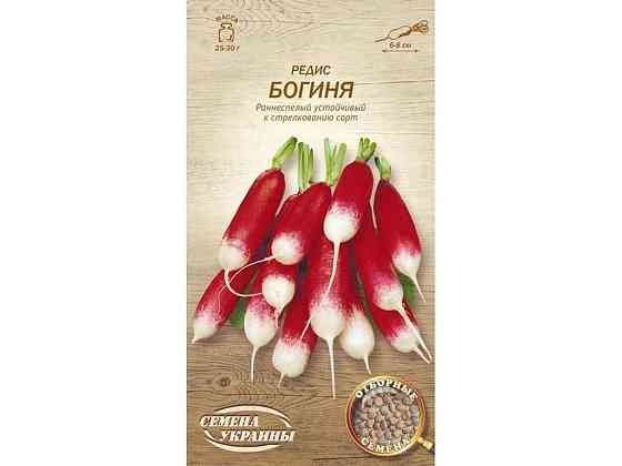 Редиска БОГИНЯ ОВ 2г (20 пачок) (рс) ТМ НАСІННЯ УКРАЇНИ Київ