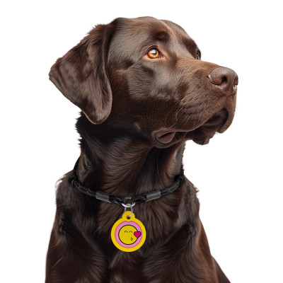 Адресник для тварин WAUDOG Smart ID з QR паспортом "Смайли на рожевому", коло 30 мм (230-0187) Вінниця - фото 6