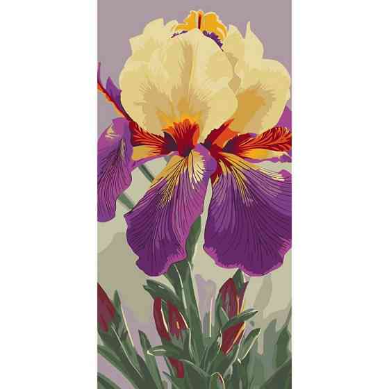 Картина за номерами "Ірис Карнівал Каперс" 13095-AC 40х80 см Вінниця