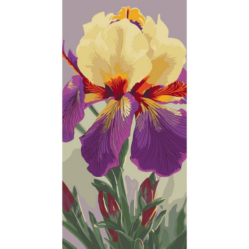 Картина за номерами "Ірис Карнівал Каперс" 13095-AC 40х80 см Вінниця - фото 1