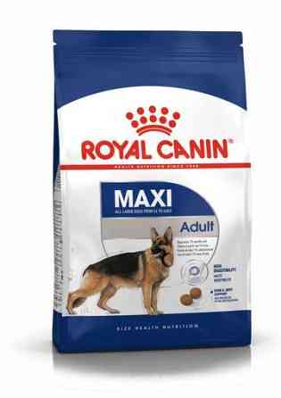Royal Canin Maxi Adult (Рояв Канін Максі Едалт) сухий корм для дорослих собак великих порід 4 кг. Запоріжжя