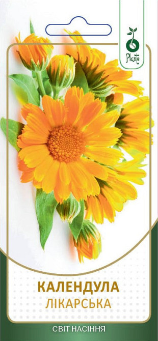 Насіння Календули лікарської Київ - фото 1