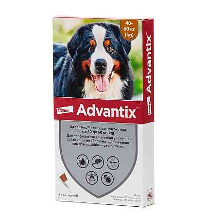 Адвантикс капли для собак весом от 40 до 60 кг (4 пипетки по 6.0 мл) Elanco Винница