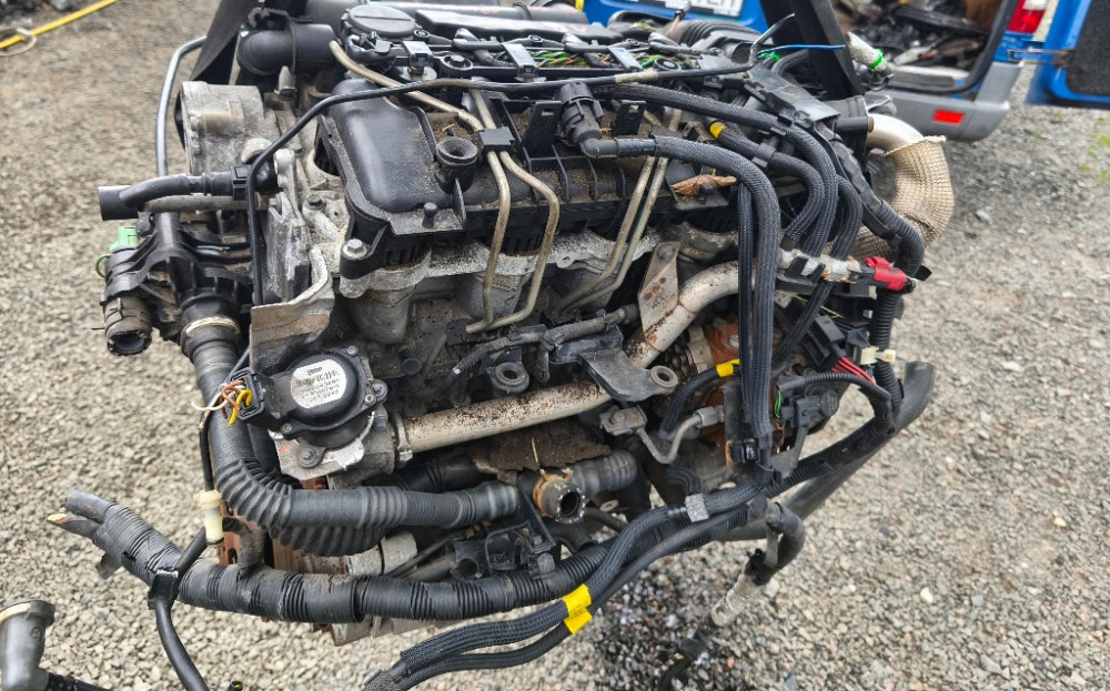 Двигун в зборі Ford Fusion 1.6 tdci 2002-2006 (7S6Q-6007-DA) Ковель - фото 6