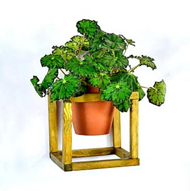 Полиця настінна для квітів "Орізонті model A" каррі Миколаїв - фото 1