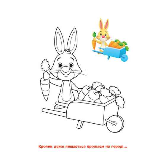 Disney Маля. Моя перша кольоровка "Вінні Пух" Ранок 1427003 за зразком Вінниця