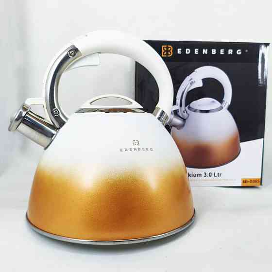 Чайник для приготування напоїв зі свистком, Чайник зі свистком нержавіюча сталь Гарний для плит GB-40 Івано-Франківськ