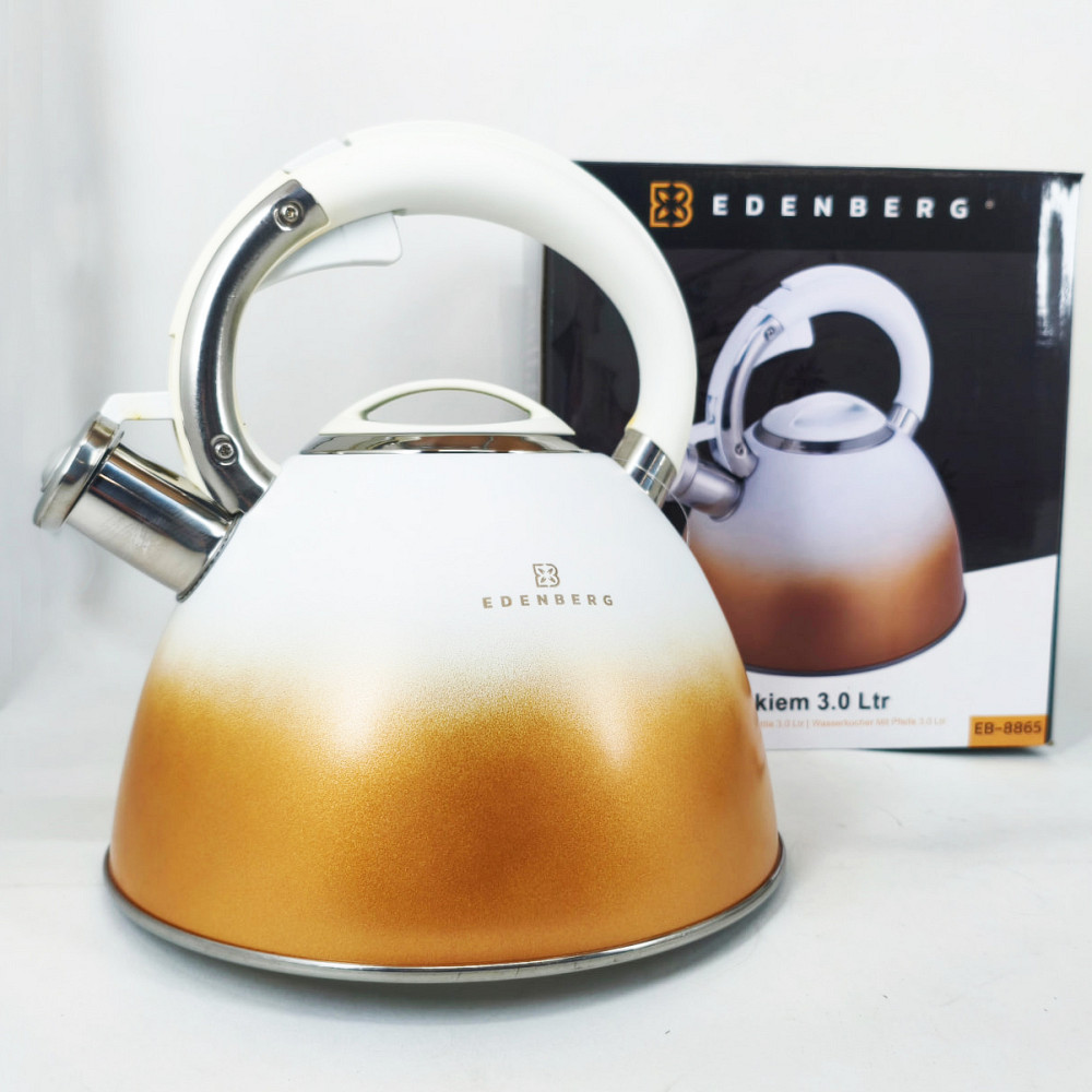 Чайник для приготування напоїв зі свистком, Чайник зі свистком нержавіюча сталь Гарний для плит GB-40 Івано-Франківськ - фото 3