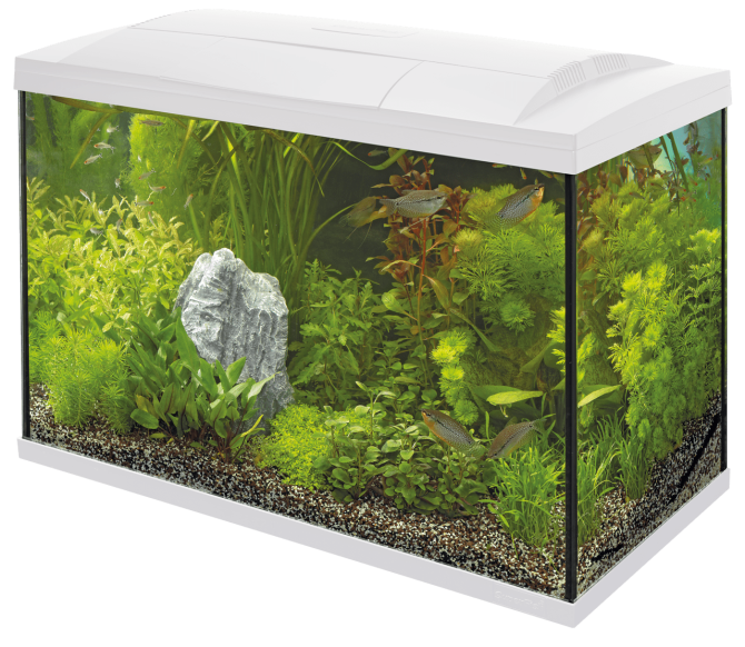 Акваріумний стартовий набір SuperFish Start 150 Aquarium Kit White (A4050383) Київ - фото 1