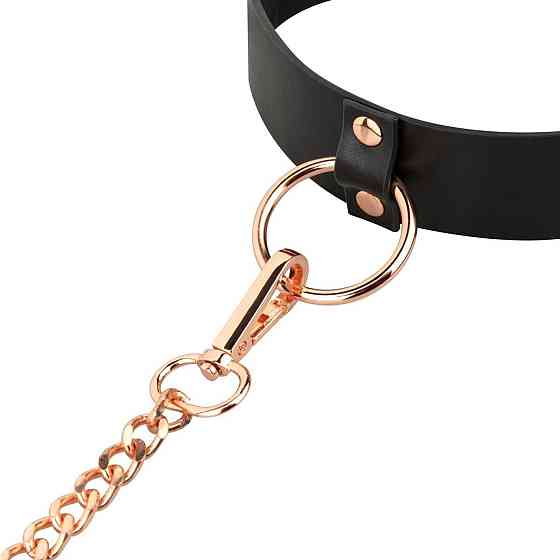 Ошейник с поводком Rosy Gold - Collar with Leash - Black Sex Aura Киев