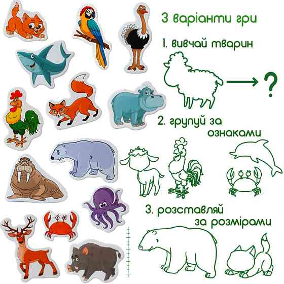 Набір магнітів Magdum Тварини ML4031-16 EN Вінниця