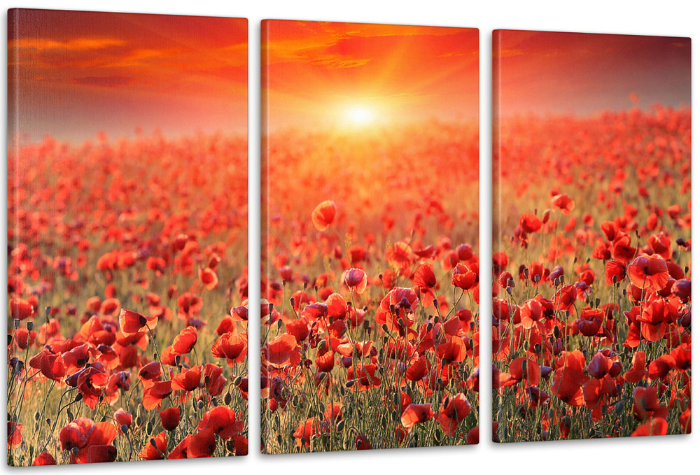 Модульная картина Природа Маки Art-65_3А 100x150 см Киев - изображение 1