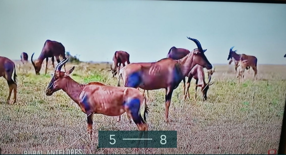 Телевізор Samsung 50" 4K, UE50NU/ 7002 Class. Київ - фото 4