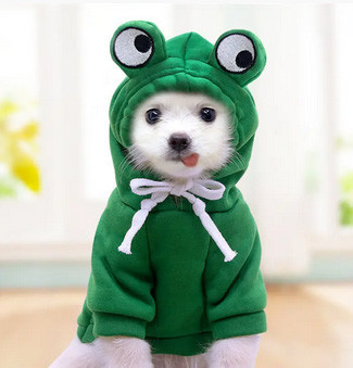 Светр для собак тепла Жабеня Київ - фото 1