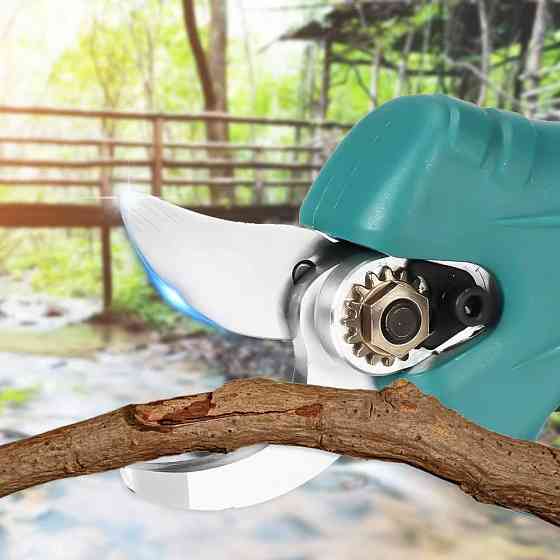 Комплект 2в1 (ланцюгова пила,секатор) + 2 АКБ 48V,в кейсі SBR Київ