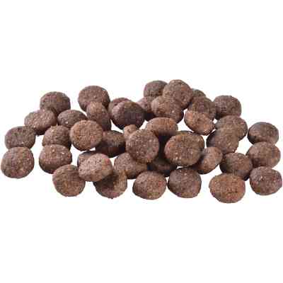 Сухий корм для собак Brit Care Dog Grain-free Adult для малих і середніх порід з лососем 1 кг (8595602558858) Вінниця