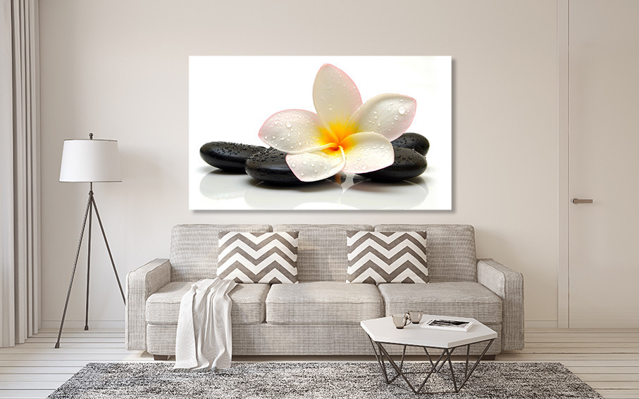 Картина холст в гостиную / спальню Спа-камені з франжіпані    MLP_104 Киев - изображение 2